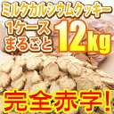 4時間限定セール！ミルクカルシウムクッキー1ケースまるごと1000円！その量なんと12kg！プレゼント・ノベルティにも最適！緊急セール！1個のお値段で1ケース（12個）が買えちゃう！