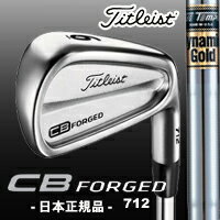 タイトリスト【日本正規品】 CB 712 アイアン #5-PW（6本組） ダイナミックゴールドスチールシャフト