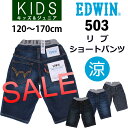 【SALE! ¥3888⇒¥1944】【3cmゆうパケット2...