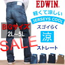 【SALE! ¥10692⇒¥6372】【国内送料無料】2L〜5L 春夏限定『ジャージーズ COOL』レギュラー/ふつうのストレート/ヒモなし/涼/ペーパーデニム/和紙EDWIN/エドウィン/エドウイン/JERSEYS/ジャージーズER003C_1098_1093_1000_1014 売れ筋【RCP】