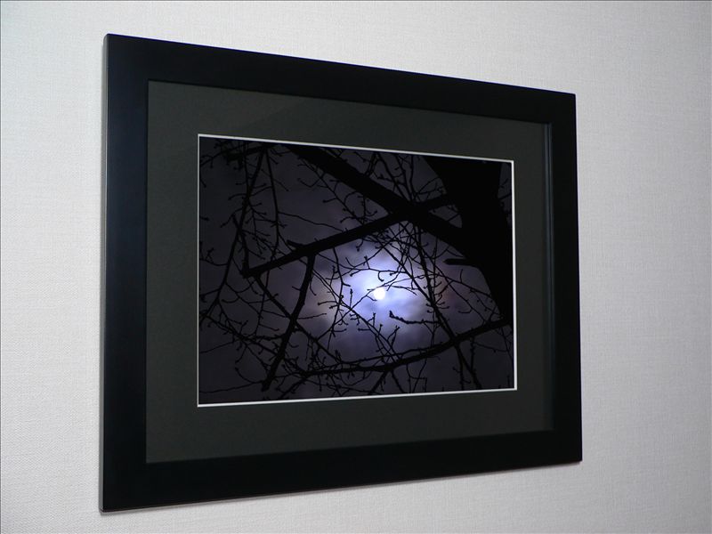 ԥȥեȥե졼ߤΤܤȺλޡԥȥեȥե졼ߤΤܤȺλ ڳڥ_ۡڳڥ_Τۡڳڥ_åϡۡYDKG-tdۡڱ_ݥ10ܡۡڱ_ۡڱ_ۡڱ_̵¡ۡڱ_Påסۡsmtb-TDۡsaitamaۡڱ_̵