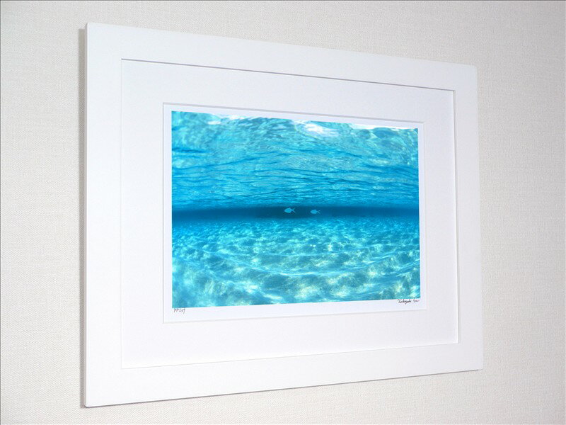 《アートフォトフレーム》透明な海を泳ぐ魚（モルディブ）/絵画やアートフォトなど9000点、日本最大級の絵画作品数。絵画といえば、あゆわら【壁掛け】【Aug08P3】
