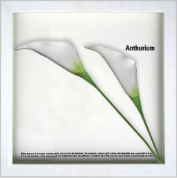 《リーフパネル》F-style Frame Anthurium/White II(エフスタイル フレーム アンスリウム)【RCPmara1207】【マラソン1207P10】【壁掛け】
