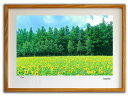 【版画 絵画】北海道のひまわり畑001 美瑛/インテリア 壁掛け 額入り 油絵 ポスター アート アートパネル リビング 玄関 プレゼント モダン アートフレーム おしゃれ【M】