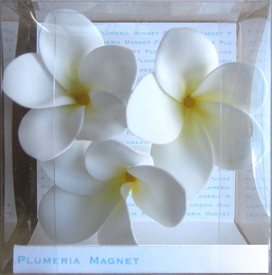 《プルメリアマグネット》Plumeria Magnet White【楽ギフ_包装】【楽ギフ_のし宛書】【楽ギフ_メッセ入力】【壁掛け】【Aug08P3】《プルメリアマグネット》Plumeria Magnet White【壁掛け】