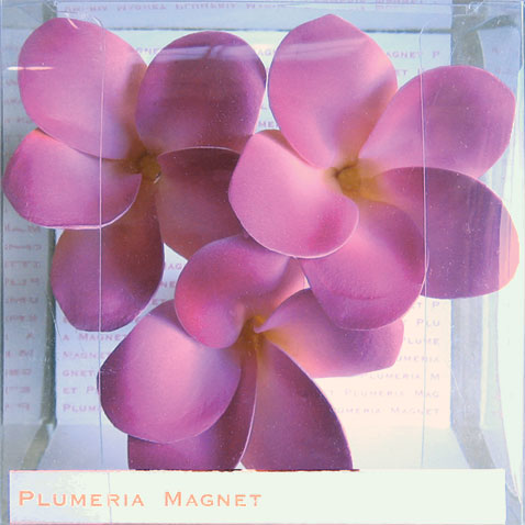 《プルメリアマグネット》Plumeria Magnet Pink【壁掛け】【Aug08P3】