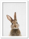 アートフレーム アニマル チルドレン シリーズ ラビット(ウサギ) ホワイトフレーム ゆうパケット Sサイズ 額入り おしゃれ シンプル インテリア 壁掛け アート 入門 絵画