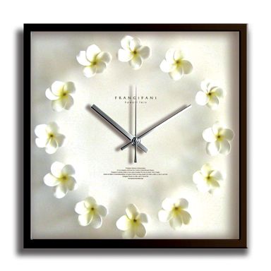 ԳݻסPlumeria Clock Whiteʥץꥢåۥ磻ȡˡԳݻסPlumeria Clock Whiteʥץꥢåۥ磻ȡ ڳڥ_ۡڳڥ_Τۡڳڥ_åϡۡYDKG-tdۡڱ_ݥ10ܡۡڱ_ۡڱ_ۡڱ_̵¡ۡڱ_Påסۡsmtb-TDۡsaitamaۡڱ_̵