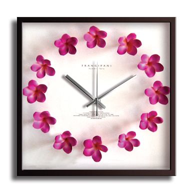ԳݻסPlumeria Clock Pinkʥץꥢåԥ󥯡ˡԳݻסPlumeria Clock Pinkʥץꥢåԥ󥯡 ڳڥ_ۡڳڥ_Τۡڳڥ_åϡۡYDKG-tdۡڱ_ݥ10ܡۡڱ_ۡڱ_ۡڱ_̵¡ۡڱ_Påסۡsmtb-TDۡsaitamaۡڱ_̵