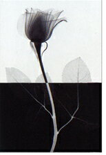 ԥȥե졼ND Conceptʲ1ˡԥȥե졼ND Conceptʲ1 ڳڥ_ۡڳڥ_Τۡڳڥ_åϡۡYDKG-tdۡڱ_ݥ10ܡۡڱ_ۡڱ_ۡڱ_̵¡ۡڱ_Påסۡsmtb-TDۡsaitamaۡڱ_̵