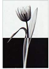 ԥȥե졼ND Conceptʲ3ˡԥȥե졼ND Conceptʲ3 ڳڥ_ۡڳڥ_Τۡڳڥ_åϡۡYDKG-tdۡڱ_ݥ10ܡۡڱ_ۡڱ_ۡڱ_̵¡ۡڱ_Påסۡsmtb-TDۡsaitamaۡڱ_̵