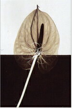 ԥȥե졼ND Concept1ˡԥȥե졼ND Concept1 ڳڥ_ۡڳڥ_Τۡڳڥ_åϡۡYDKG-tdۡڱ_ݥ10ܡۡڱ_ۡڱ_ۡڱ_̵¡ۡڱ_Påסۡsmtb-TDۡsaitamaۡڱ_̵