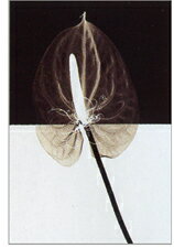 ԥȥե졼ND Concept2ˡԥȥե졼ND Concept2 ڳڥ_ۡڳڥ_Τۡڳڥ_åϡۡYDKG-tdۡڱ_ݥ10ܡۡڱ_ۡڱ_ۡڱ_̵¡ۡڱ_Påסۡsmtb-TDۡsaitamaۡڱ_̵