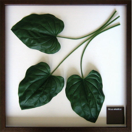 ԥ꡼եѥͥF-style Frame Hosta.cv(ܥۥ)ԥ꡼եѥͥF-style Frame Hosta.cv(ܥۥ) ڳڥ_ۡڳڥ_Τۡڳڥ_åϡۡYDKG-tdۡڱ_ݥ10ܡۡڱ_ۡڱ_ۡڱ_̵¡ۡڱ_Påסۡsmtb-TDۡsaitamaۡڱ_̵