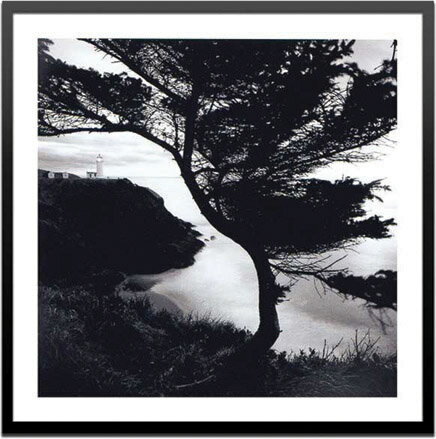 ԥȥե졼Michael Cole Lighthouse(ޥ롦 )ԥȥե졼Michael Cole Lighthouse(ޥ롦 ) ڳڥ_ۡڳڥ_Τۡڳڥ_åϡۡYDKG-tdۡڱ_ݥ10ܡۡڱ_ۡڱ_ۡڱ_̵¡ۡڱ_Påסۡsmtb-TDۡsaitamaۡڱ_̵