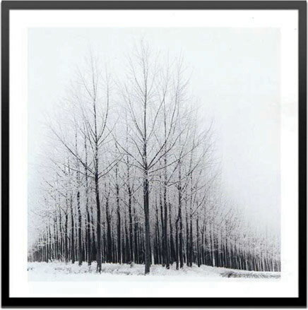 ԥȥե졼Micheal Cole Frost(ޥ롦 )ԥȥե졼Micheal Cole Frost(ޥ롦 ) ڳڥ_ۡڳڥ_Τۡڳڥ_åϡۡYDKG-tdۡڱ_ݥ10ܡۡڱ_ۡڱ_ۡڱ_̵¡ۡڱ_Påסۡsmtb-TDۡsaitamaۡڱ_̵