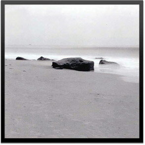 ԥȥե졼Steven N.Meyers Beach Tones(ƥ֥󡦥ޥ䡼 Ȥβ)ԥȥե졼Steven N.Meyers Beach Tones(ƥ֥󡦥ޥ䡼 Ȥβ) ڳڥ_ۡڳڥ_Τۡڳڥ_åϡۡYDKG-tdۡڱ_ݥ10ܡۡsmtb-TDۡsaitama