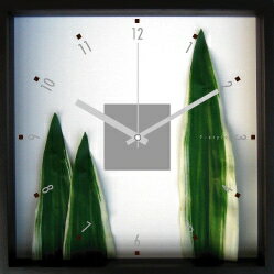 ԳݻסPhormium tenax(˥塼)ԳݻסPhormium tenax(˥塼) ڳڥ_ۡڳڥ_Τۡڳڥ_åϡۡYDKG-tdۡڱ_ݥ10ܡۡڱ_ۡڱ_ۡڱ_̵¡ۡڱ_Påסۡsmtb-TDۡsaitamaۡڱ_̵