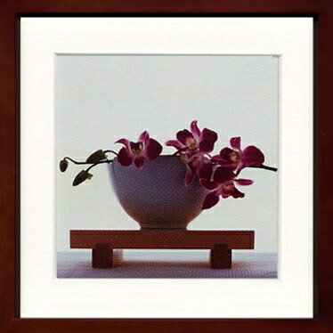 ԥȥե졼Anonyme  Orchidees rosas sur bol blancԥȥե졼Anonyme  Orchidees rosas sur bol blanc ڳڥ_ۡڳڥ_Τۡڳڥ_åϡۡYDKG-tdۡڱ_ݥ10ܡۡڱ_ۡڱ_ۡڱ_̵¡ۡڱ_Påסۡsmtb-TDۡsaitamaۡڱ_̵