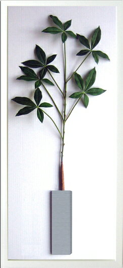 ԥ꡼եѥͥPachira glabra(ѥ ֥ )ԥ꡼եѥͥPachira glabra(ѥ ֥ ) ڳڥ_ۡڳڥ_Τۡڳڥ_åϡۡYDKG-tdۡڱ_ݥ10ܡۡڱ_ۡڱ_ۡڱ_̵¡ۡڱ_Påסۡsmtb-TDۡsaitamaۡڱ_̵