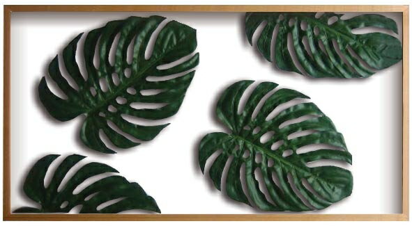 ԥ꡼եѥͥMonstera deliciosa(󥹥ƥ ǥꥷ)ԥ꡼եѥͥMonstera deliciosa(󥹥ƥ ǥꥷ) ڳڥ_ۡڳڥ_Τۡڳڥ_åϡۡYDKG-tdۡڱ_ݥ10ܡۡڱ_ۡڱ_ۡڱ_̵¡ۡڱ_Påסۡsmtb-TDۡsaitamaۡڱ_̵