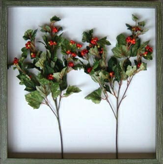 ԥ꡼եѥͥVibernvm greenberry(ӥСʥ ꡼٥꡼)ԥ꡼եѥͥVibernvm greenberry(ӥСʥ ꡼٥꡼) ڳڥ_ۡڳڥ_Τۡڳڥ_åϡۡYDKG-tdۡڱ_ݥ10ܡۡڱ_ۡڱ_ۡڱ_̵¡ۡڱ_Påסۡsmtb-TDۡsaitamaۡڱ_̵