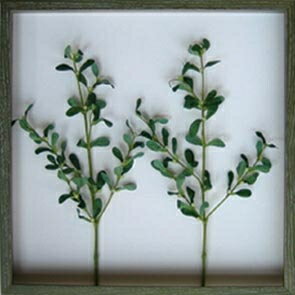 ԥ꡼եѥͥMistletoe(ɥꥮ)ԥ꡼եѥͥMistletoe(ɥꥮ) ڳڥ_ۡڳڥ_Τۡڳڥ_åϡۡYDKG-tdۡڱ_ݥ10ܡۡڱ_ۡڱ_ۡڱ_̵¡ۡڱ_Påסۡsmtb-TDۡsaitamaۡڱ_̵