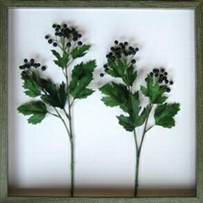 ԥ꡼եѥͥKuromoji(⥸ʸ)ԥ꡼եѥͥKuromoji(⥸ʸ) ڳڥ_ۡڳڥ_Τۡڳڥ_åϡۡYDKG-tdۡڱ_ݥ10ܡۡڱ_ۡڱ_ۡڱ_̵¡ۡڱ_Påסۡsmtb-TDۡsaitamaۡڱ_̵