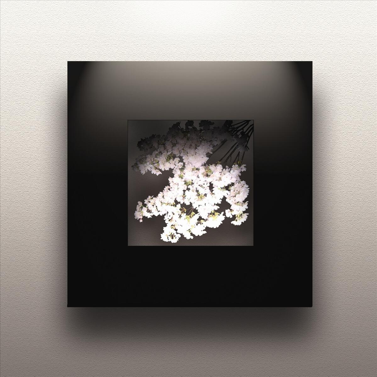 ԥեȡCherry blossom(β)ԥեȡCherry blossom(β) ڳڥ_ۡڳڥ_Τۡڳڥ_åϡۡYDKG-tdۡڱ_ݥ10ܡۡڱ_ۡڱ_ۡڱ_̵¡ۡڱ_Påסۡsmtb-TDۡsaitamaۡڱ_̵