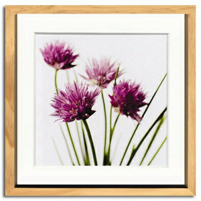 ԥȥե졼Feig-Feig  Cibouletteԥȥե졼Feig-Feig  Ciboulette ڳڥ_ۡڳڥ_Τۡڳڥ_åϡۡYDKG-tdۡڱ_ݥ10ܡۡڱ_ۡڱ_ۡڱ_̵¡ۡڱ_Påסۡsmtb-TDۡsaitamaۡڱ_̵