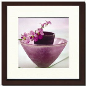 ԥȥե졼H Orth  Composition roseԥȥե졼H Orth  Composition roseڳڥ_ۡڳڥ_Τۡڳڥ_åϡۡYDKG-tdۡڱ_ݥ10ܡۡڱ_ۡڱ_ۡڱ_̵¡ۡڱ_Påס