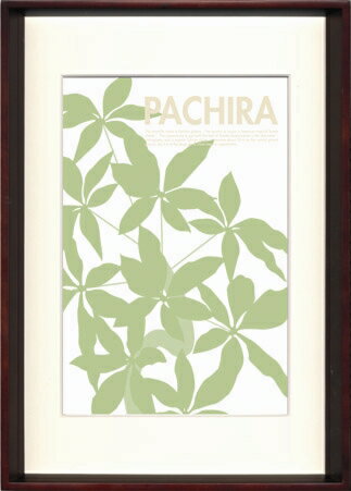 ԥȥե졼kaori kurakazuPachiraʥѥˡԥȥե졼kaori kurakazuPachiraʥѥˡڳڥ_ۡڳڥ_Τۡڳڥ_åϡۡYDKG-tdۡڱ_ݥ10ܡۡڱ_ۡڱ_ۡڱ_̵¡ۡڱ_Påס