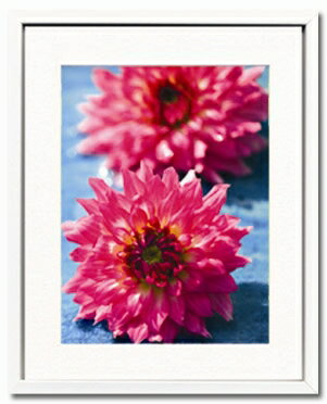 ԥȥեȥե졼Dahliasԥȥեȥե졼Dahlias ڳڥ_ۡڳڥ_Τۡڳڥ_åϡۡYDKG-tdۡڱ_ݥ10ܡۡڱ_ۡڱ_ۡڱ_̵¡ۡڱ_Påסۡsmtb-TDۡsaitamaۡڱ_̵