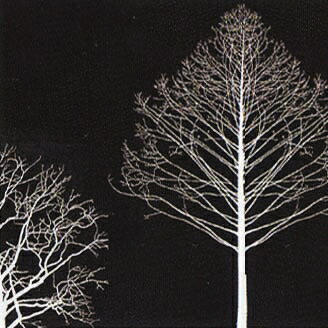 ԥڡѡȥѥͥNEWDESIGNCONCEPT13ԥڡѡȥѥͥNEW DESIGN CONCEPT13 ڳڥ_ۡڳڥ_Τۡڳڥ_åϡۡYDKG-tdۡڱ_ݥ10ܡۡڱ_ۡڱ_ۡڱ_̵¡ۡڱ_Påסۡsmtb-TDۡsaitamaۡڱ_̵