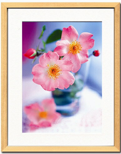 ԥȥե졼Pernilla Bergdhal  Wild rosesԥȥե졼Pernilla Bergdhal  Wild roses ڳڥ_ۡڳڥ_Τۡڳڥ_åϡۡYDKG-tdۡڱ_ݥ10ܡۡڱ_ۡڱ_ۡڱ_̵¡ۡڱ_Påסۡsmtb-TDۡsaitamaۡڱ_̵