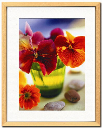 ԥȥե졼Pernilla Bergdhal  Penseesԥȥե졼Pernilla Bergdhal  Pensees ڳڥ_ۡڳڥ_Τۡڳڥ_åϡۡYDKG-tdۡڱ_ݥ10ܡۡڱ_ۡڱ_ۡڱ_̵¡ۡڱ_Påסۡsmtb-TDۡsaitamaۡڱ_̵