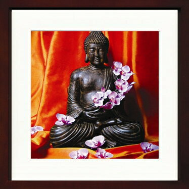 ԥȥե졼Stephane de Bourgies  Buddaha fleuriԥȥե졼Stephane de Bourgies  Buddaha fleuri ڳڥ_ۡڳڥ_Τۡڳڥ_åϡۡYDKG-tdۡڱ_ݥ10ܡۡڱ_ۡڱ_ۡڱ_̵¡ۡڱ_Påסۡsmtb-TDۡsaitamaۡڱ_̵