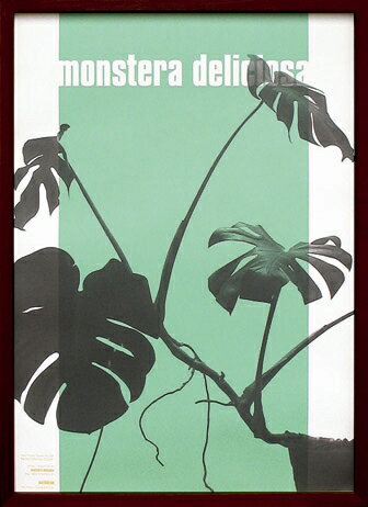 ԥȥե졼Wall Plants No,2ԥȥե졼Wall Plants No,2 ڳڥ_ۡڳڥ_Τۡڳڥ_åϡۡYDKG-tdۡڱ_ݥ10ܡۡڱ_ۡڱ_ۡڱ_̵¡ۡڱ_Påסۡsmtb-TDۡsaitamaۡڱ_̵