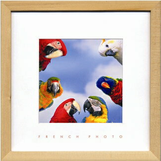 ԥեեȥեFrench Photograhy13ԥեեȥեFrench Photograhy13ڳڥ_ۡڳڥ_Τۡڳڥ_åϡۡYDKG-tdۡڱ_ݥ10ܡۡڱ_ۡڱ_ۡڱ_̵¡ۡڱ_Påס