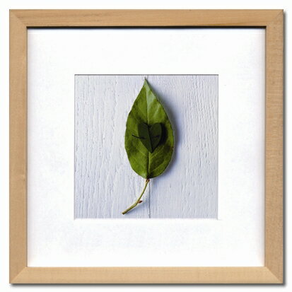 ԥեեȥեFrench Photograhy14ԥեեȥեFrench Photograhy14ڳڥ_ۡڳڥ_Τۡڳڥ_åϡۡYDKG-tdۡڱ_ݥ10ܡۡڱ_ۡڱ_ۡڱ_̵¡ۡڱ_Påס