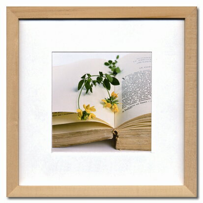 ԥեեȥեFrench Photograhy17ԥեեȥեFrench Photograhy17ڳڥ_ۡڳڥ_Τۡڳڥ_åϡۡYDKG-tdۡڱ_ݥ10ܡۡڱ_ۡڱ_ۡڱ_̵¡ۡڱ_Påס