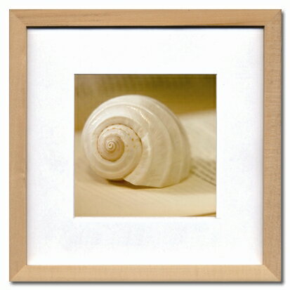 ԥեեȥեFrench Photograhy19ԥեեȥեFrench Photograhy19ڳڥ_ۡڳڥ_Τۡڳڥ_åϡۡYDKG-tdۡڱ_ݥ10ܡۡڱ_ۡڱ_ۡڱ_̵¡ۡڱ_Påס