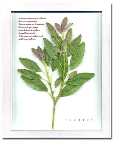 ԥץȡȥե졼sageʥˡԥץ ȥե졼sageʥˡڳڥ_ۡڳڥ_Τۡڳڥ_åϡۡYDKG-tdۡڱ_ݥ10ܡۡڱ_ۡڱ_ۡڱ_̵¡ۡڱ_Påס