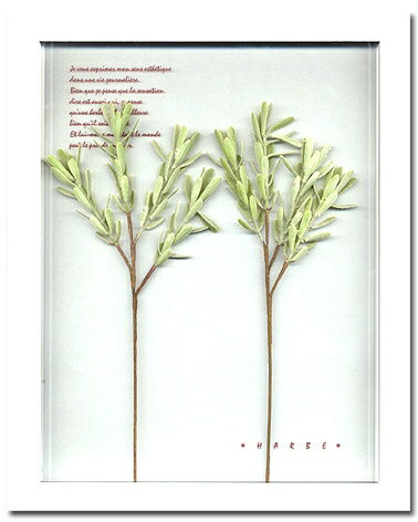 ԥץȡȥե졼blue iceʥ֥롼ˡԥץ ȥե졼blue iceʥ֥롼ˡڳڥ_ۡڳڥ_Τۡڳڥ_åϡۡYDKG-tdۡڱ_ݥ10ܡۡڱ_ۡڱ_ۡڱ_̵¡ۡڱ_Påס