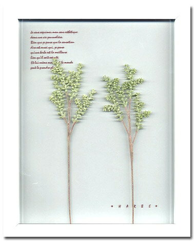 ԥץȡȥե졼kochiaʥˡԥץ ȥե졼kochiaʥˡڳڥ_ۡڳڥ_Τۡڳڥ_åϡۡYDKG-tdۡڱ_ݥ10ܡۡڱ_ۡڱ_ۡڱ_̵¡ۡڱ_Påס