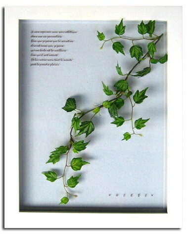 ԥץȡȥե졼Hederaʥإǥˡԥץ ȥե졼Hederaʥإǥˡڳڥ_ۡڳڥ_Τۡڳڥ_åϡۡYDKG-tdۡڱ_ݥ10ܡۡڱ_ۡڱ_ۡڱ_̵¡ۡڱ_Påס