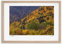 アートフォト 絵画 壁掛け 大雪山の紅葉8 高橋真澄/インテリア 壁掛け 額入り 額装込 風景画 油絵 ポスター アート アートパネル リビング 玄関 プレゼント モダン アートフレーム おしゃれ 飾る Mサイズ