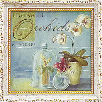 ߥ˥ ȥե졼 ޥͥå 󥸥  ֥ץߥ˥ ȥե졼 ޥͥå 󥸥  ֥סڳڥ_ۡڳڥ_Τۡڳڥ_åϡۡYDKG-tdۡڱ_ݥ10ܡۡڱ_ۡڱ_ۡڱ_̵¡ۡڱ_Påס