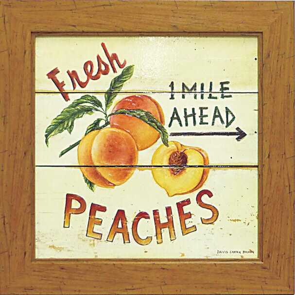 Գեǥӥå  ֥饦 եåԡԳեǥӥå  ֥饦 եåԡڳڥ_ۡڳڥ_Τۡڳڥ_åϡۡYDKG-tdۡڱ_ݥ10ܡۡڱ_ۡڱ_ۡڱ_̵¡ۡڱ_Påס