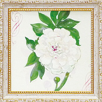 ߥ˥ ȥե졼 ޥͥå å ǥ ԥ ֥Ρ ԥˡץߥ˥ ȥե졼 ޥͥå å ǥ ԥ ֥Ρ ԥˡסڳڥ_ۡڳڥ_Τۡڳڥ_åϡۡYDKG-tdۡڱ_ݥ10ܡۡڱ_ۡڱ_ۡڱ_̵¡ۡڱ_Påס